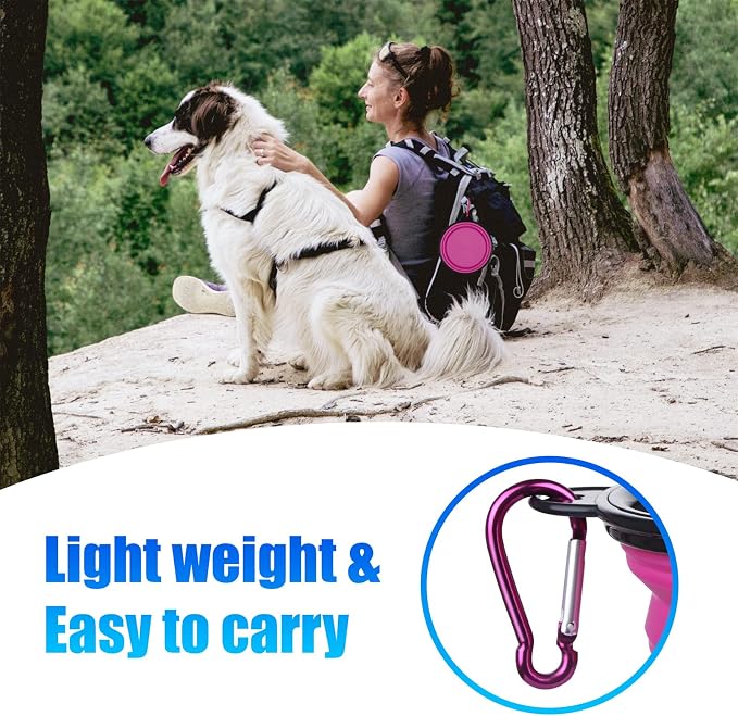 Dog Bowl Collapsible, 2 Pack, with Carabiners, Small, Pink+Purple