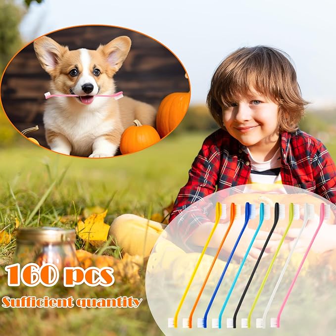 160 Pcs Dog Toothbrush Dual Head Dental Brushes Bulk Pet Tooth Brushing Kit Puppy Long Handle Toothbrush for Large and Small Dogs Cats Most Pets Teeth Cleaning Oral Care Supplies, 8 Colors