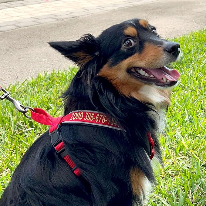 Pawtitas Reflective Padded Dog Harness for X-Small Dogs – Adjustable Puppy Step-in Vest | Fits Chest 14–18 in | No Pull Training Harness | XS | Green