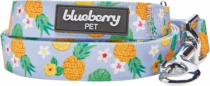 Blueberry Pet Nutritious Pineapple Dog Leash, 5 ft x 3/4", Medium, Leashes for Dogs