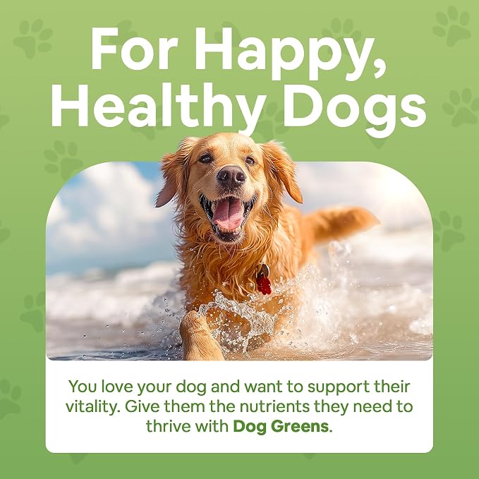 Superfood Supplement for Dogs (12 oz) Organic Human-Grade Ingredients, Vitamins, Minerals, Antioxidants and Fibre Rich for Optimal Digestion, Shiny Coat and Better Health (3 Pack)