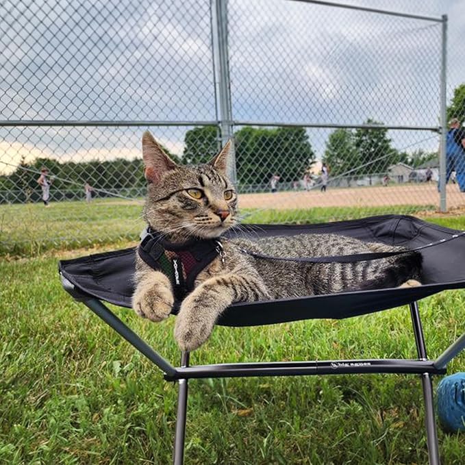 Voyager Escape-Proof Step-in Lock Cat Harness & 5ft Neoprene-Handle Leash Set All-Weather Mesh with Reflective Stitching for Small to Large Cats by Best Pet Supplies, Army/Black Trim, XS