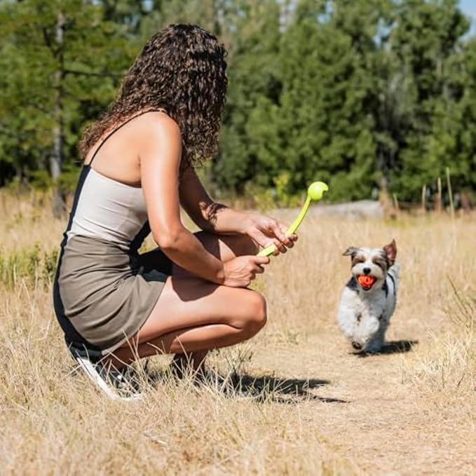 Chuckit! Air Fetch Ball Dog Toy, Medium 2.5in, 2 Pack | Hollow, Mesh-Like Design Lets Dogs Breathe Easy While Fetching; Bouncy and Durable, for Breeds 20-60 lbs