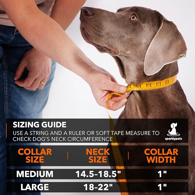 SparklyPets Heavy Duty Dog Collar with Handle for Medium and Large Dogs – Professional Collar with Reflective Stitches, Soft Handle & Nickel-Plated Buckle (Large (18"~22"), Blue)