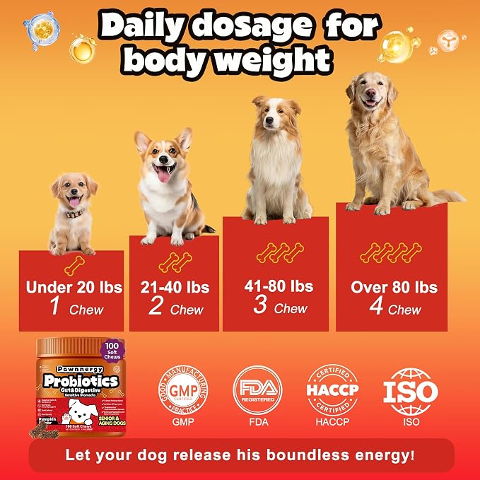 Probiotics for Dogs - Improve Gut Health, Digestive, Immunity, Yeast Balance, Solid Stool - with Prebiotics - Reduce Diarrhea, Gas, Bad Breath, Constipation, Allergy - Ideal for Senior Dogs (5+ Years)