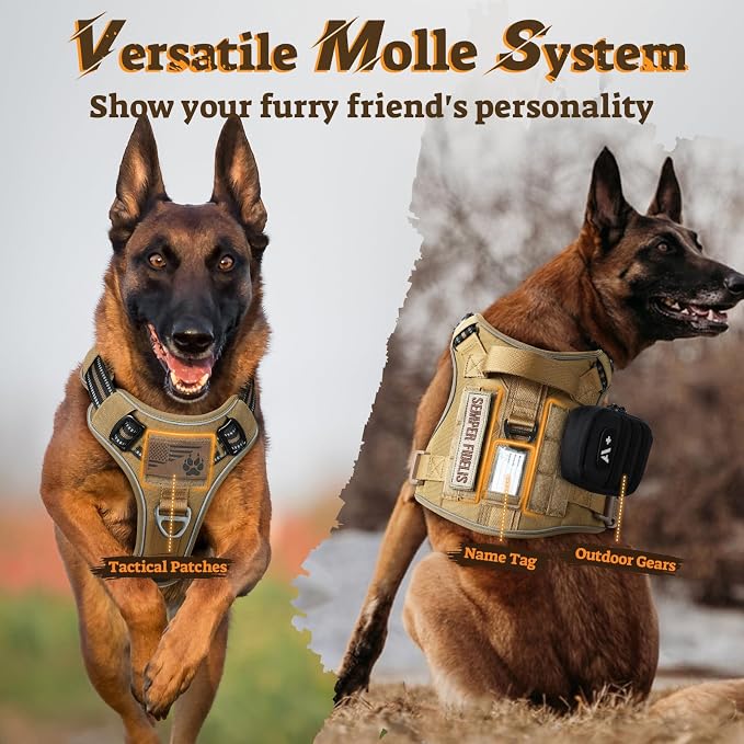 rabbitgoo Tactical Dog Harness for Small Dogs, No Pull Service Pet Vest | Military Molle System & Easy Control Handle, Adjustable and Reflective for Walking and Training, Brown, Small