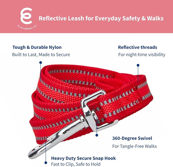 Blueberry Pet Essentials Reflective Better Basics Dog Leash, Rouge Red, 5 ft x 5/8", Small, Leashes for Dogs