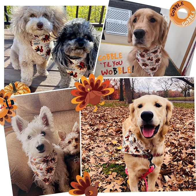 Thanksgiving Holiday Dog Bandana, Turkey, Medium, Small