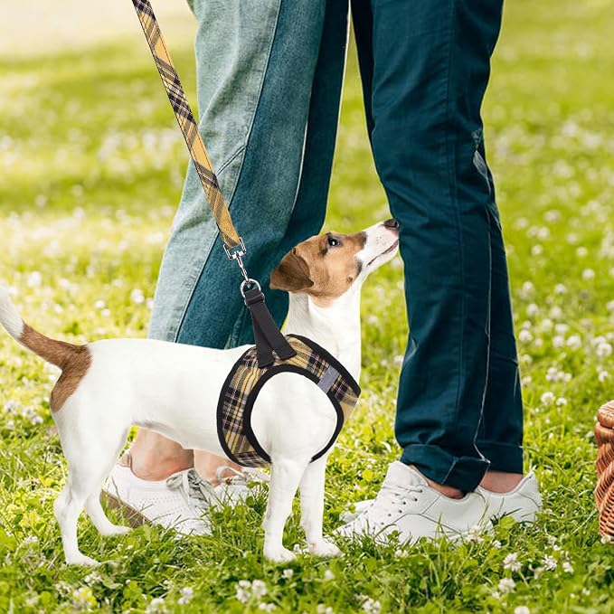 PUPTECK Adjustable Dog Harness Collar and Leash Set Step in No Pull Pet Harness for Small Medium Dogs Puppy and Cats Outdoor Walking Running, Soft Mesh Padded Reflective Vest Harnesses, Yellow, L