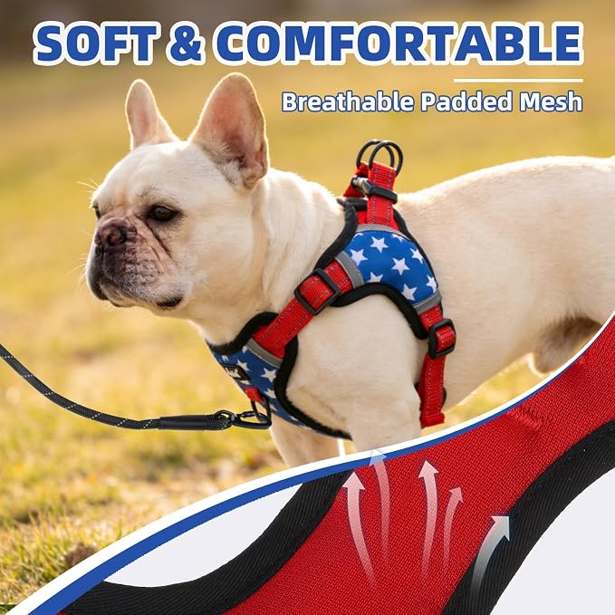 PUPTECK Dog Harness Small Sized Dog, Step in Adjustable Reflective Dog Vest Harness Escape Proof, No Pull Soft Padded Harness Easy Control, Star, M