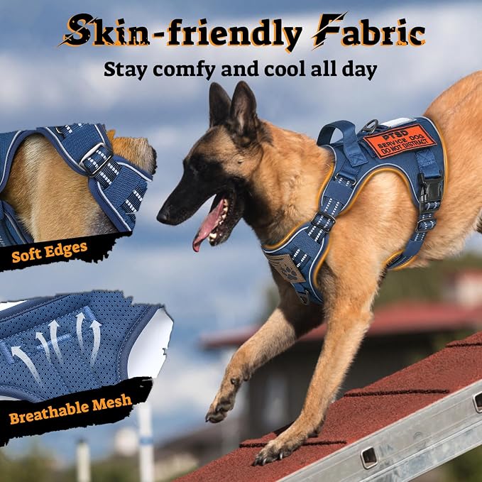 rabbitgoo Tactical Dog Harness Medium Sized, No Pull Service Pet Vest | Military Molle System & Easy Control Handle, Adjustable and Reflective for Walking and Training, Blue, Medium