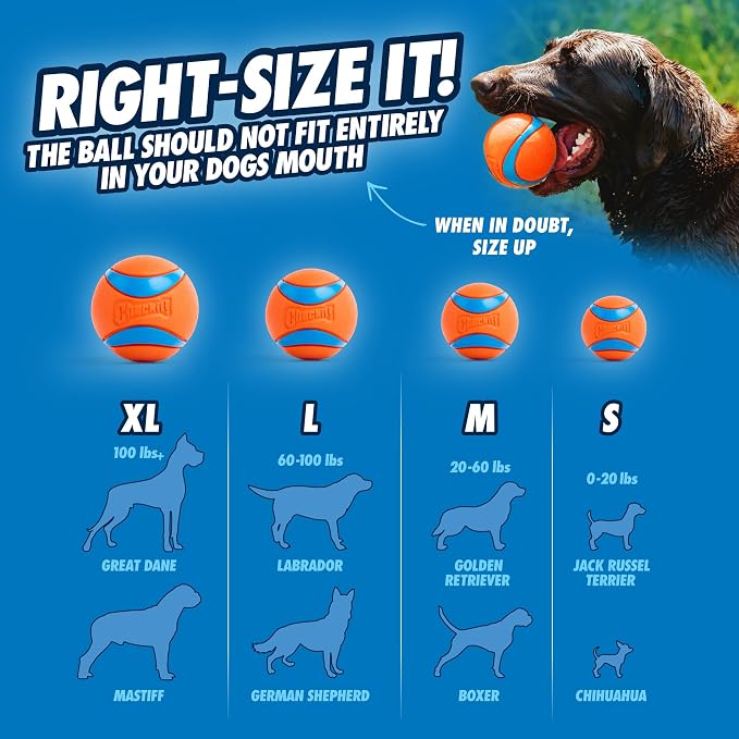 Chuckit! Dog Balls, Medium, 2.5in, Set of 3, Pack of 12