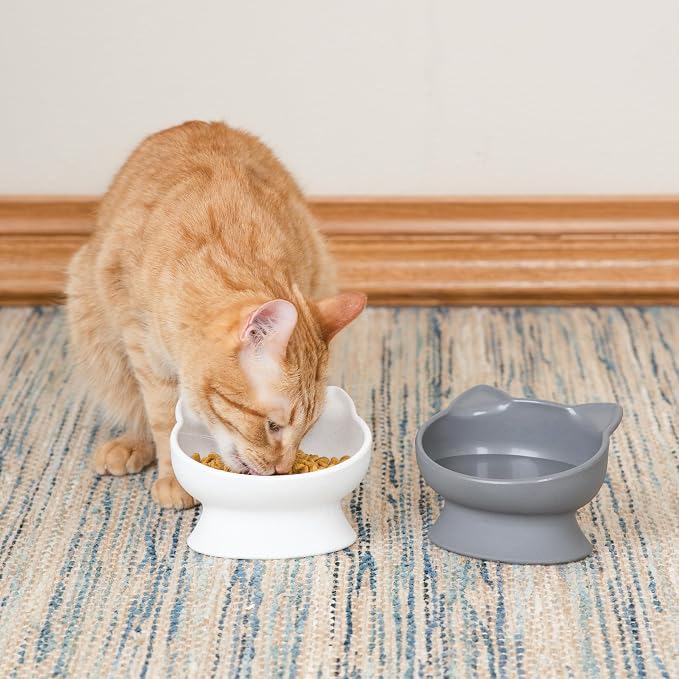 Kitty City Elevated Slow Feeder Cat Bowls (Set of 2), Whisker-Friendly Raised Cat Food Dishes with Ridges, Helps Reduce Fast Eating & Digestion Issues, Dishwasher Safe, 10.8 oz – White & Gray