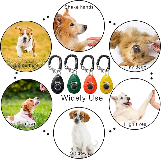 Pet Training Clicker with Wrist Strap, Black & Deep Green & Tangerine & Yellow