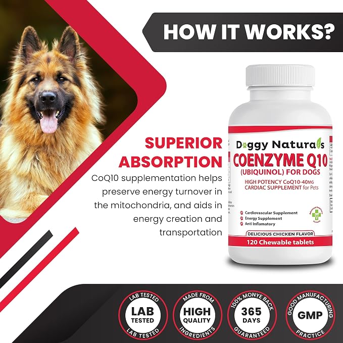 Coenzyme Q10 High Potency COQ10-40mg UBIQUINOL for Dogs (120 Tabs) Made in U.S.A. CoQ10 for Dogs