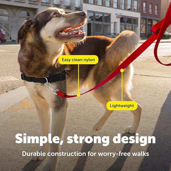 PetSafe Nylon Dog Leash - Strong, Durable, Traditional Style Leash with Easy to Use Bolt Snap - 1 in. x 4 ft., Red | Durable Nylon Leash with Easy on/off Bolt Snap Hook, Pairs Perfectly with Easy Walk Harness and Gentle Leader Headcollar