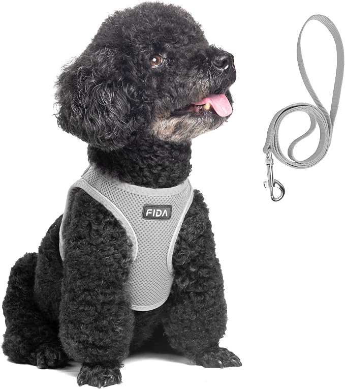 Fida Comfy Dog Harness with Leash, Soft Puppy Vest Escape Proof, Breathable Lightweight Soft Mesh, Adjustable Reflective Step-in Harness for Small & Medium Pet Walking (M, Grey)