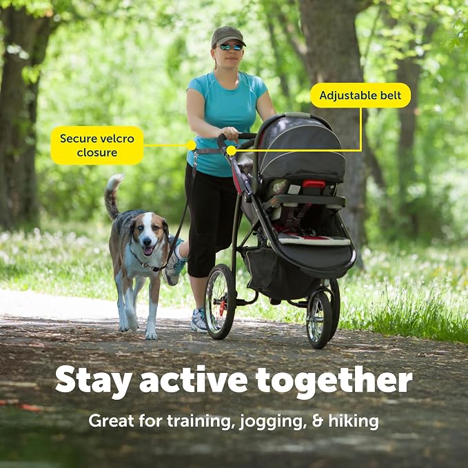 PetSafe Hands Free Dog Leash, Black | Waist Leash Great for Running, Jogging, Walking and Hiking, Quick-Release Hook & Loop Closure