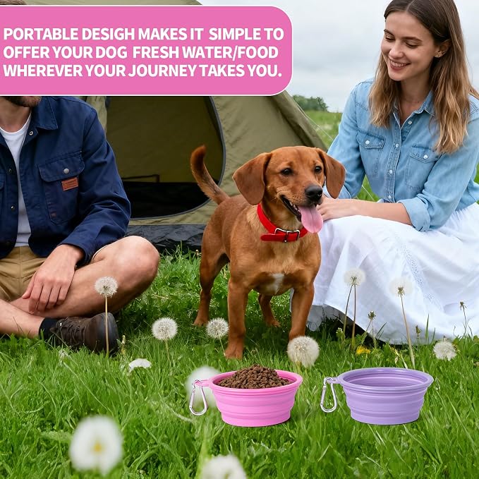 SLSON Macaron Collapsible Dog Bowl, 2 Pack, Small, Rose & Violet