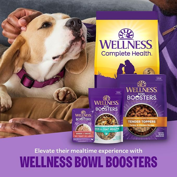 Wellness Bowl Boosters Immune Health Dog Food Topper with Freeze Dried Pieces for Small, Medium, and Large Breeds, Grain Free, Natural, Plant Based, 4 oz Bag