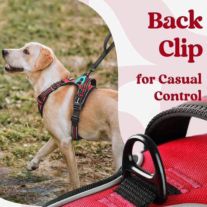 rabbitgoo Dog Harness for Large, Updated Easy On & Off with 3 Buckles | No Pull No Choke, Walking with 2 Clips and Handle, Adjustable Soft Reflective, Red, Large