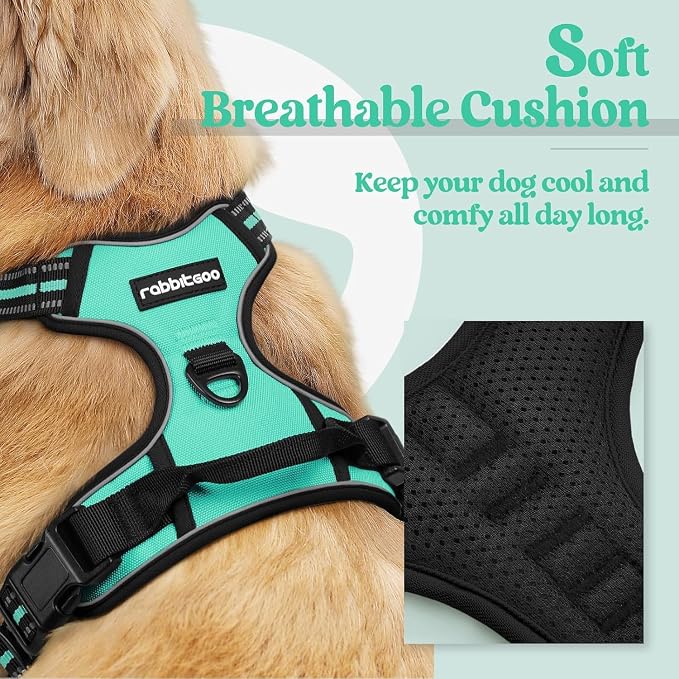 rabbitgoo Dog Harness, No Pull for Large Dogs with 2 Leash Clips, Pet Vest | No Choke with Handle, Adjustable Soft Padded, Reflective, Easy Control for Walking, Turquoise, X-Large