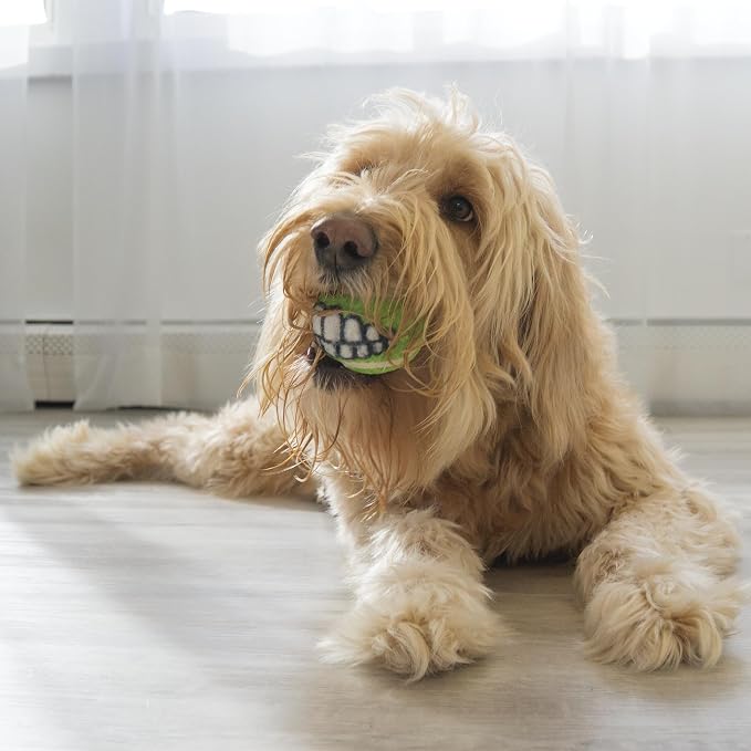 KONG Grinz by Rogz Variety Packs - Durable Bouncy Balls with Grinz Teeth - Smiley Face Dog Toy (Medium (6 Pack))