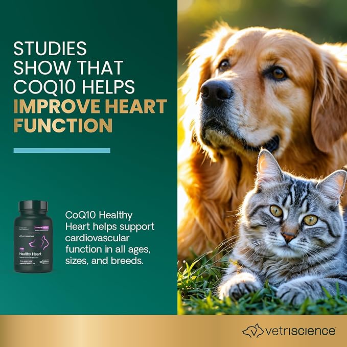 VetriScience CoQ10 Healthy Heart Capsules for Dogs and Cats, 120 Count