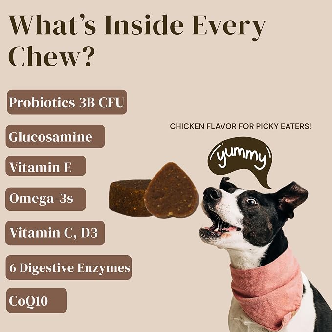 Dog Multivitamin Chews 10-in-1 - Glucosamine Probiotics 3 Billion CFU Omega CoQ10 - Dog Vitamins for Joint Immune Gut Skin Coat - 90 Soft Chews