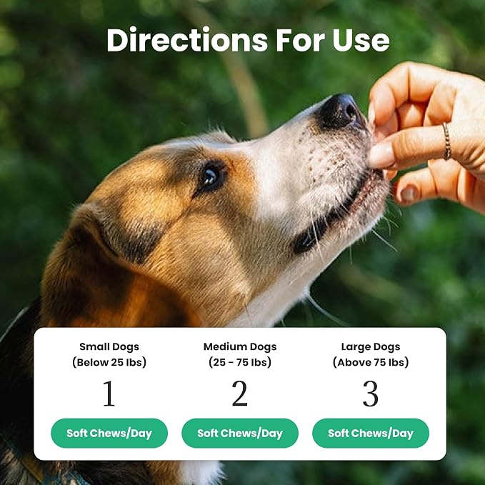 Dog Probiotics and Multivitamin Chews for Digestive Health, Immune Support, Gut Health, Allergy Support, Dog Vitamins, with Vitamin C, Omega 3, Colostrum, 60 Soft Chews per Jar