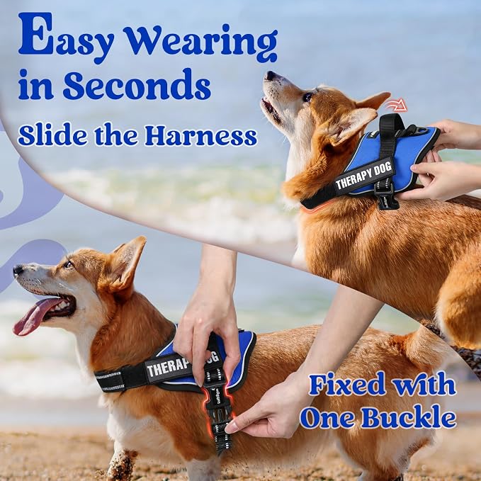 rabbitgoo No Pull No Choke Pet Vest, Adjustable Pet Harness with Molle | Small Sized Dog Harness, Reflective, Easy Wearing with One Buckle for Walking, Training, Blue, S