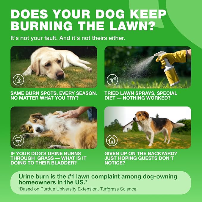 Dog Urine Neutralizer Chews – Grass Saver for Lawn & Green Grass