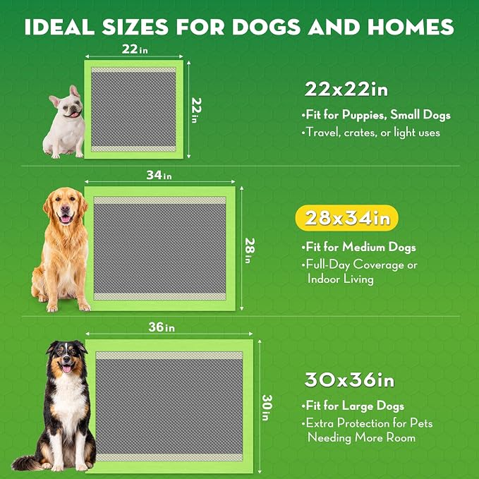 CROCI Dog Pads Extra Large, 28"x34" Pee Pads for Dogs, 2X Odor-Control with Charcoal & Bamboo Material, 4-Corner Adhesive Tabs, Super Absorbent & Leak-Proof, Disposable (40 Counts)