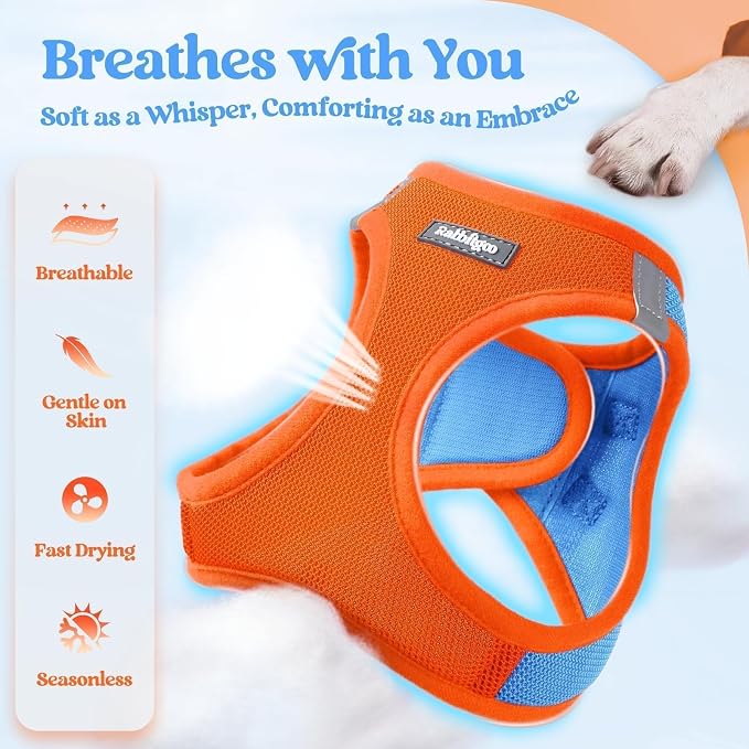 rabbitgoo Dog Harness Medium Sized and Leash Set, Step-in Puppy Pet Vest | Light, Soft, Breathable Air Mesh, Easy on and Remove with Hook & Loop, Secure Reflective for Walking, Blue & Orange L