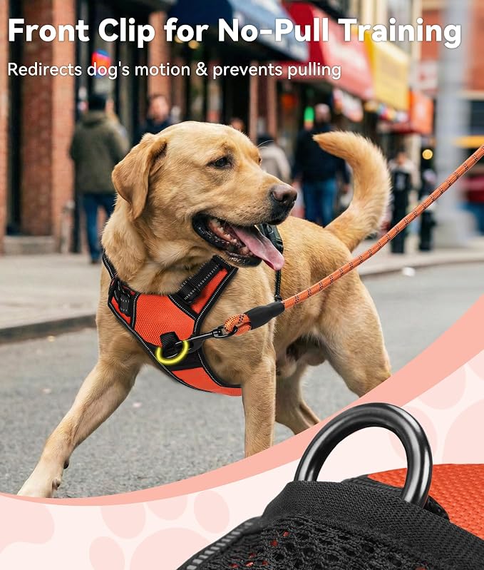 Joytale No Pull Dog Harness Medium Sized Dog, Front Clip, Orange | Grab Handle for Instant Control, Padded & Adjustable Vest, Sturdy Metal D-Rings, for Safe Training & Daily Walking