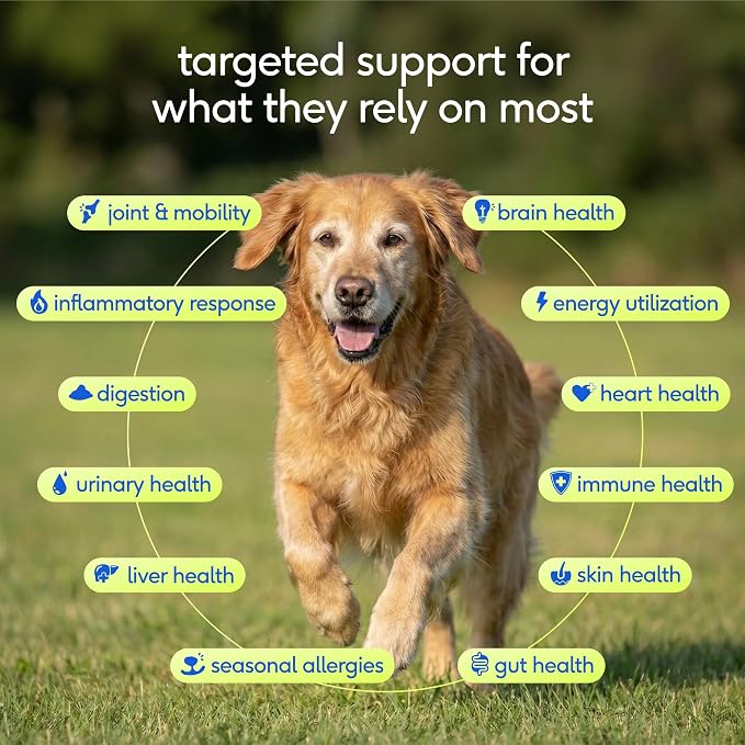 Native Pet Senior Daily Dog Vitamins & Supplements – 12-in-1 Dog Multivitamin Powder for Senior Dogs – Supports Mobility, Cognition, Digestion, Immune Health & More – 60 Scoops