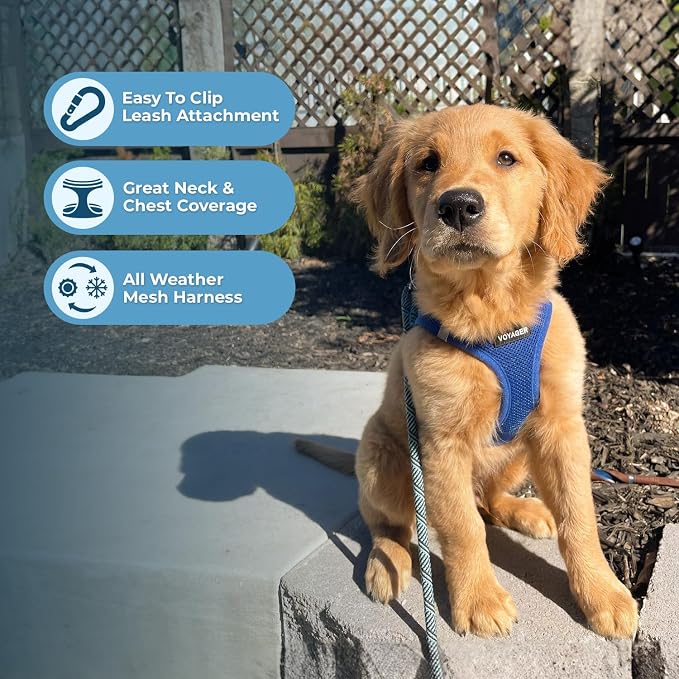 Best Pet Supplies Voyager Step-in Air All Weather Mesh Harness and Reflective Dog 5ft Leash Combo with Neoprene Handle, for Small, Medium and Large Breed Puppies - Royal Blue, XXX-Small