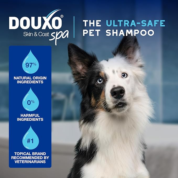 DOUXO SPA Waterless Dog Shampoo, 10 fl oz | Leave-On Mousse, Cleans and Refreshes, Leaves the Coat Soft, Radiant and Smelling Great, Ultra-Safe Formula