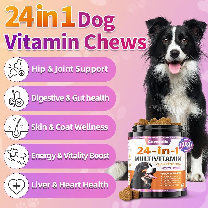 Carmelie Dog Vitamins, 24 in 1 Dog Multivitamins is Human Grade, 200 Chews | Premium Glucosamine Probiotics Omega-3, for Hip & Joint, Itch Relief, Skin & Coat, Immune, Digestive, Puppy & Senior, Chicken