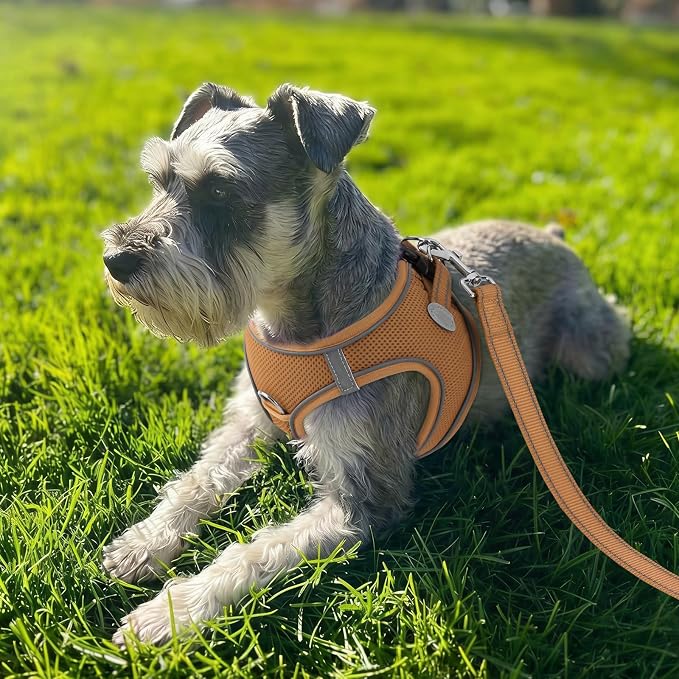 Joytale Step-in Dog Harness, Soft Breathable Mesh, Brown XS | Adjustable Fit for Small Dogs, Easy Step-in with Secure Fastener, Even Chest Pressure, Reflective For Night Safety, Washable