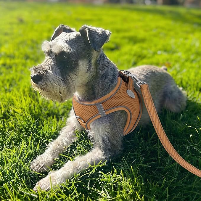 Joytale Step-in Dog Harness, Soft Breathable Mesh, Brown S | Adjustable Fit for Small Dogs, Easy Step-in with Secure Fastener, Even Chest Pressure, Reflective For Night Safety, Washable
