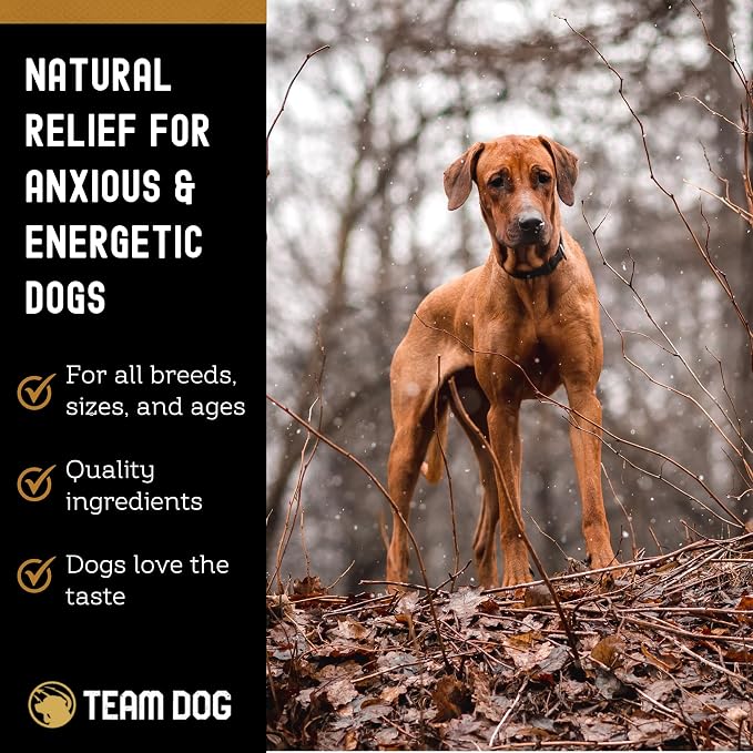 TEAM DOG Calming Chews, Melatonin, Chamomile, Large