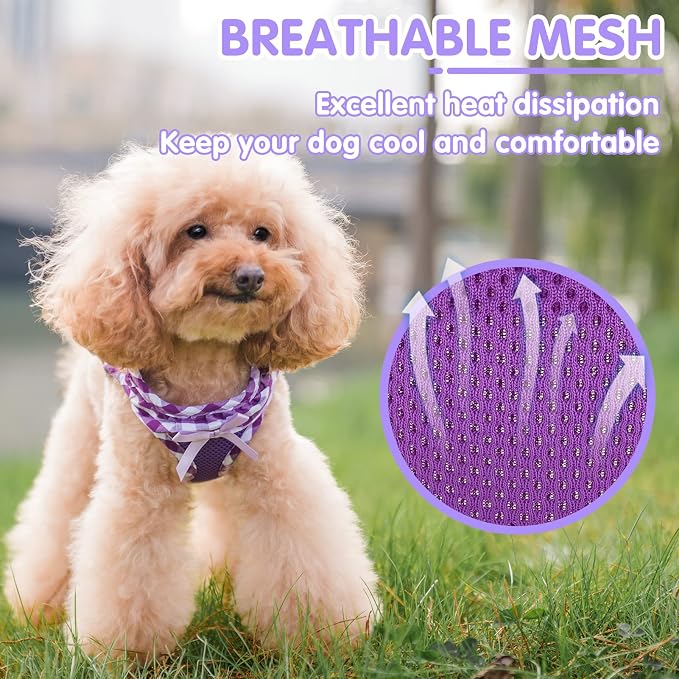 PUPTECK Dog Harness for Puppy and Small Sized Dogs, Step-in No Pull Soft Mesh Vest Harness for Cats Small Pets Walking, Purple, New S