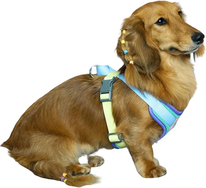 Blueberry Pet Vibrant Mesh Padded Ultra Cool Lightweight Dog Harness Vest in Mint, Extra Large, Neck 24", Chest 29½"~35"
