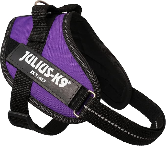 Julius-K9 IDC Powerharness, Size: S/Mini, Dark Purple
