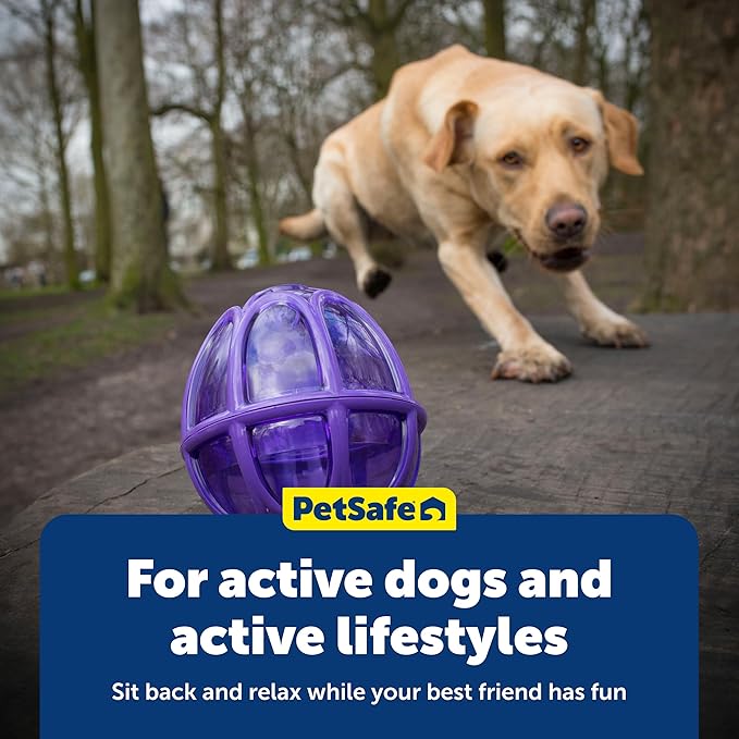 PetSafe Busy Buddy Kibble Nibble Dog Toy - Encourages Natural Instinct Feeding - Patented Treat Meter Design - Rubber Bumpers - Interactive Slow Feeder Ball - Purple - Small