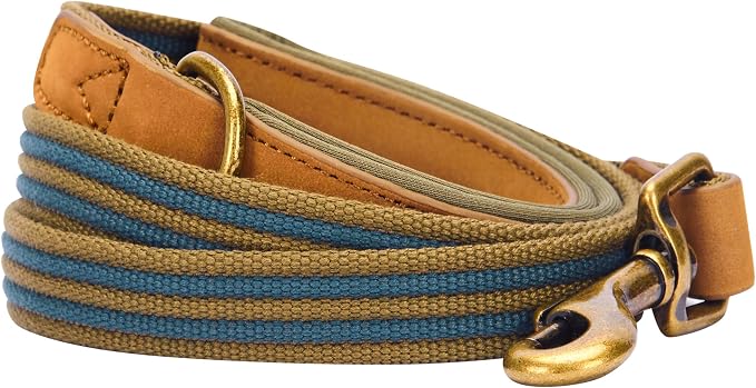 Blueberry Pet Polyester Fabric Webbing and Soft Genuine Leather Dog Leash with Soft & Comfortable Handle, 4 ft x 3/4", Navy and Olive, Leashes for Dogs