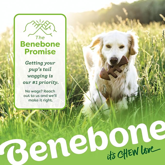 Benebone Medium Dog Toys for Aggressive Chewers – Under 60 lbs, 4 Count, Medium (Pack of 8)