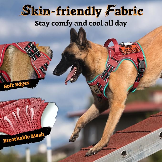 rabbitgoo Tactical Dog Harness for Large Dogs, No Pull Service Pet Vest | Military Molle System & Easy Control Handle, Adjustable and Reflective for Walking and Training, Red, Large