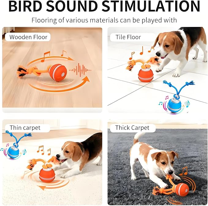 Interactive Dog Ball Toy for Small Dogs, Motion Activated Rolling Ball | Motion Activated Rolling Dog Ball Toy with Birdsong Squeaky & Chewable Rope | Peppy Fetch Toy to Keep Small Dogs Busy